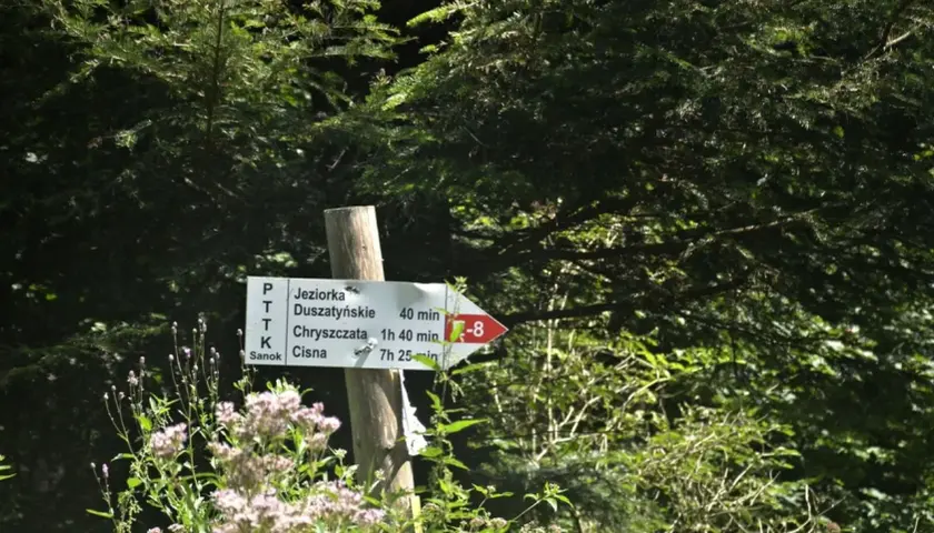 Droga do Jeziorek Duszatyńskich, Chryszczatej i Cisnej. Tabliczka PTTK wskazuje kierunek i czas dojścia.