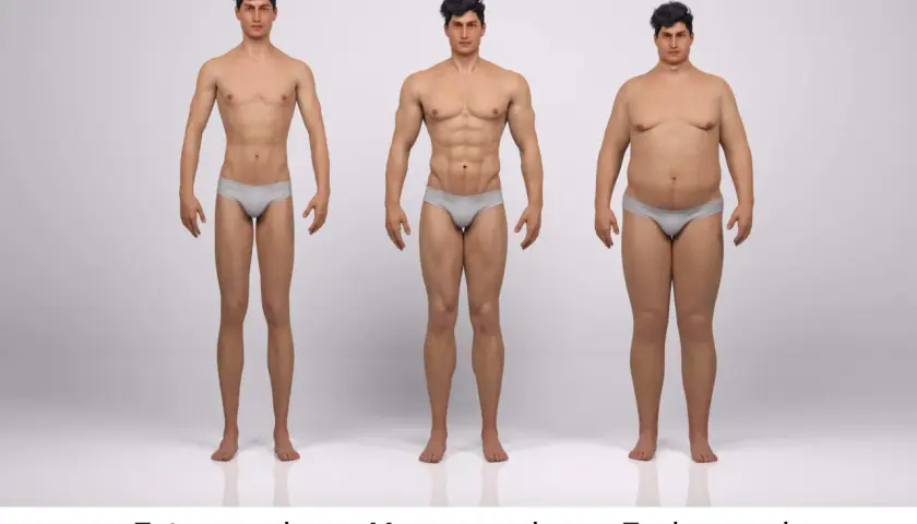 Trzy figury męskie: ektomorf (szczupły), mezomorf (umięśniony) i endomorf (pulchny).