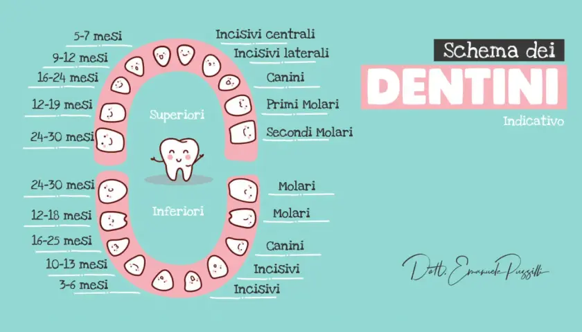 Schema dei dentini per bambini di 2 anni, con indicazioni sui tempi di eruzione dei denti da latte.
