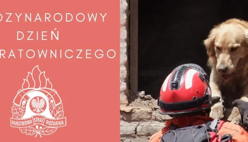 Międzynarodowy Dzień Psa Ratowniczego. Pies ratowniczy i strażak w akcji.