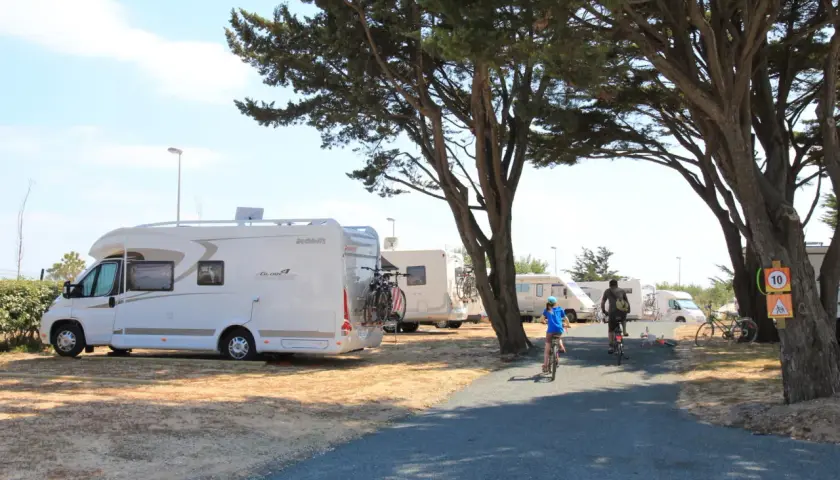 Journée ensoleillée sur une aire de camping-car en Île de Ré. Des camping-cars sont garés sous les pins, tandis que des enfants font du vélo sur le chemin.