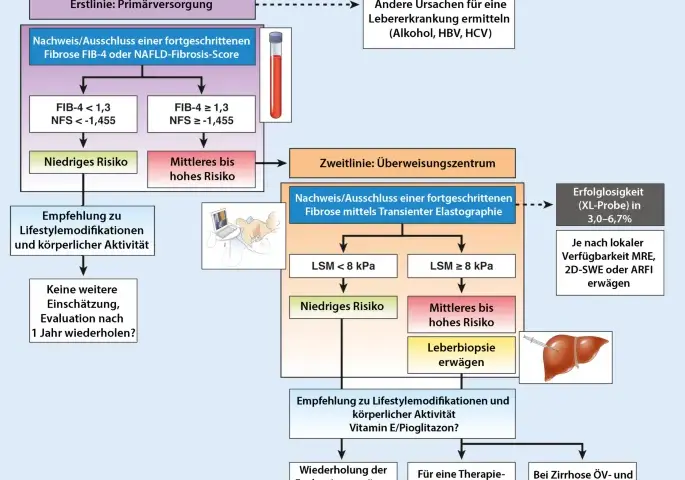Leberzirrhose Diagnostik: Wichtige Tests und Verfahren zur Früherkennung