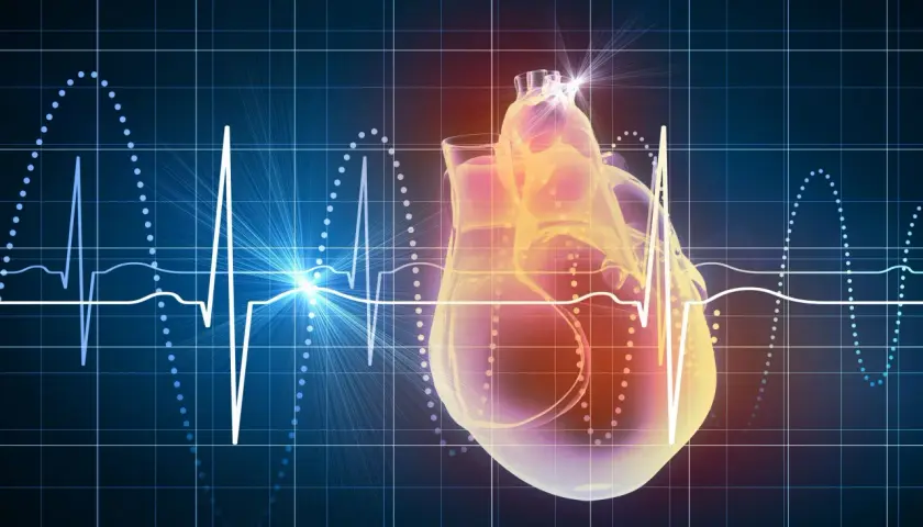 Serce na tle wykresu EKG i siatki. Podwyższona homocysteina może wpływać na zdrowie serca.