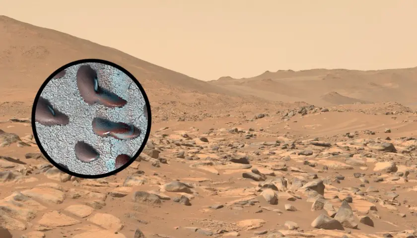 Zbliżenie na powierzchni Marsa ukazuje ślady, które mogą sugerować mars życie. Krajobraz Czerwonej Planety z kamieniami i piaskiem.
