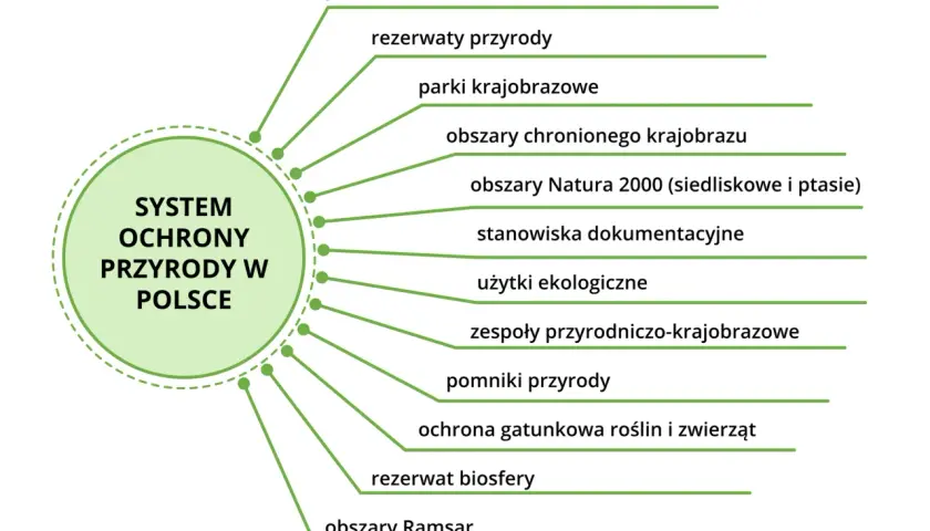 Schemat systemu ochrony przyrody w Polsce z wypisanymi 9 kluczowymi typami.