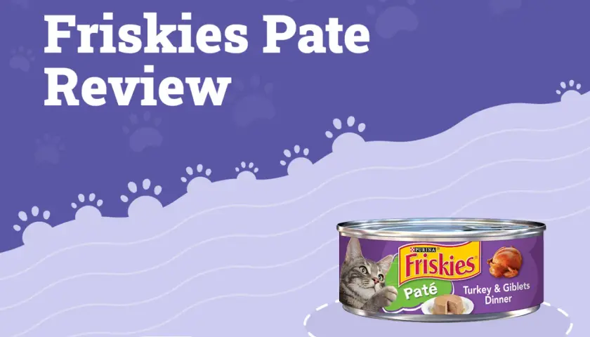 Friskies Pate Review: Is Friskies a good cat food? This image shows a can of Friskies Turkey & Giblets Dinner pate with a cat looking at it.
