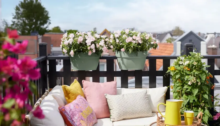 Zwei grüne Übertöpfe mit zarten rosa Blüten, die sich über einen Balkonzaun lehnen. Daneben eine üppige Pflanze mit gelben und weißen Blüten. Perfekte balkonpflanzen pflegeleicht für eine entspannte Oase.
