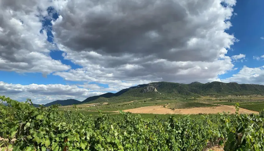 Vignoble verdoyant sous un ciel orageux, avec des collines et des champs à perte de vue. Un paysage typique de la région de Madrid.