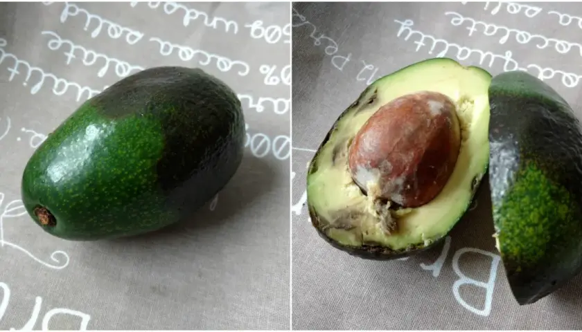 Jakie awokado do guacamole? Wybierz najlepsze dla idealnego smaku