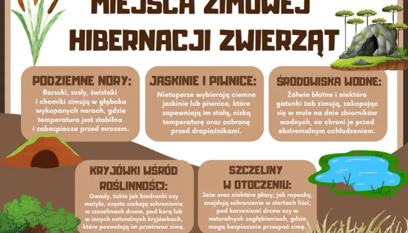 Ilustracja pokazuje, jakie zwierzęta zapadają w sen zimowy: borsuki, nietoperze, żółwie, żaby, owady, jeże i płazy.