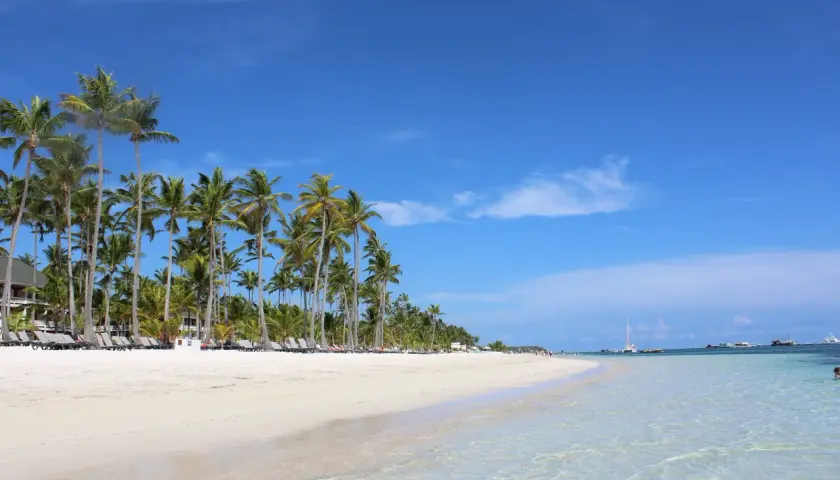Rajska plaża w Punta Cana, z palmami i turkusową wodą, idealne miejsce na relaks i odkrywanie atrakcji.