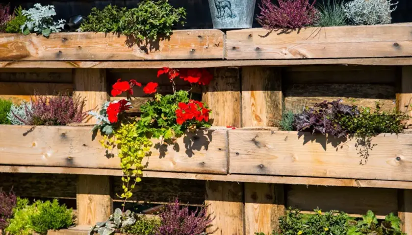 Sichtschutz aus Paletten mit bunten Blumen und Heidekraut. Eine kreative und natürliche Gartengestaltung.