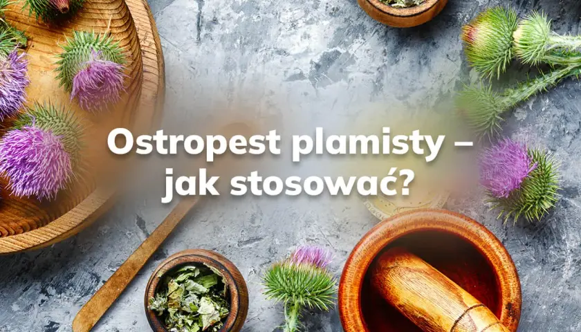 Jak zażywać ostropest? Maksymalna skuteczność i bezpieczeństwo!