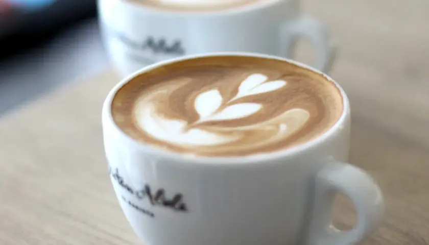 Zwei Tassen Cappuccino mit Latte Art, die an Blätter erinnert. Perfekt für Ihre eigenen Cappuccino Rezepte.