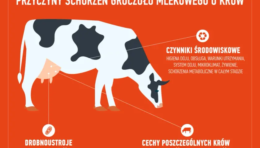 Mastitis - co to jest? Objawy i przyczyny zapalenia piersi