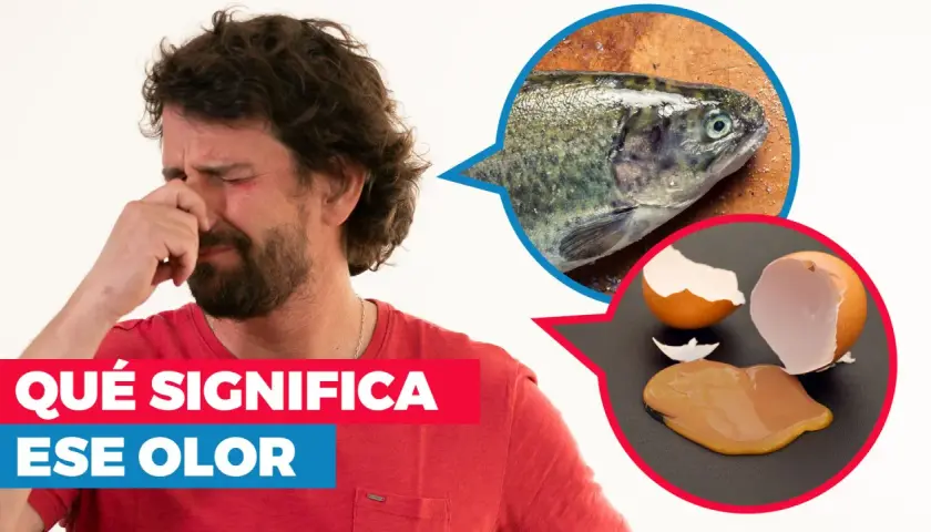 Hombre con cara de asco, tapándose la nariz. Un pez y un huevo roto sugieren un olor a amoniaco.