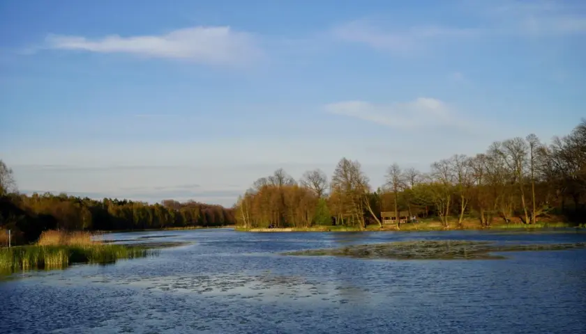 Spokojna tafla jeziora w otoczeniu lasu, z widocznymi trzcinami i drewnianą altanką. Idealne miejsce na odpoczynek od zgiełku, z dala od kleszczów.