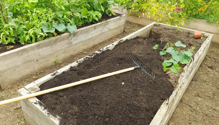 Ein Rechen liegt auf frisch aufgeschütteter Erde, bereit, das Hochbeet zu erneuern. Daneben wachsen bereits junge Pflanzen.