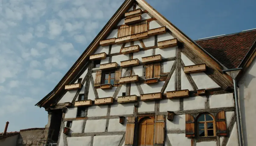 Fachwerkhaus mit vielen kleinen Holzkästen, die als mauersegler nest dienen.