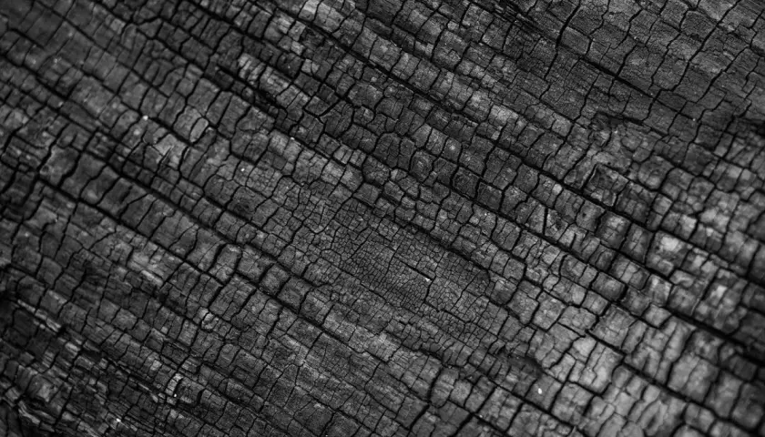 Nahaufnahme von verkohltem Holz, das die charakteristische Textur von Shou Sugi Ban zeigt. Die Risse und Muster sind tief und faszinierend.