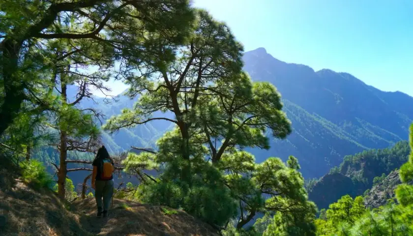 La isla más bonita de las Canarias: La Palma y su belleza natural