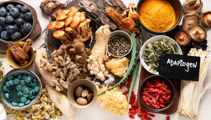 Vielfalt an adaptogenen Pflanzen: Blaubeeren, Pilze, Zimt, Kurkuma, Goji-Beeren und mehr.