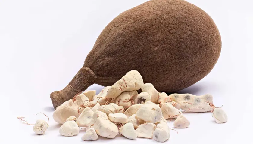 Frutto di baobab e polpa essiccata, mostrando le incredibili proprietà benefiche di questo superfood africano.