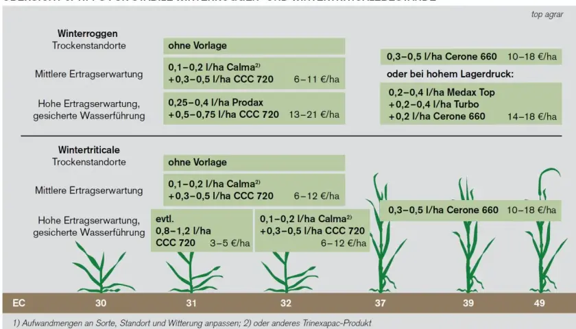 Übersicht zu Wachstumsregler Weizen: Empfehlungen für Winterroggen und Wintertriticale je nach Ertragserwartung und Wasserführung.