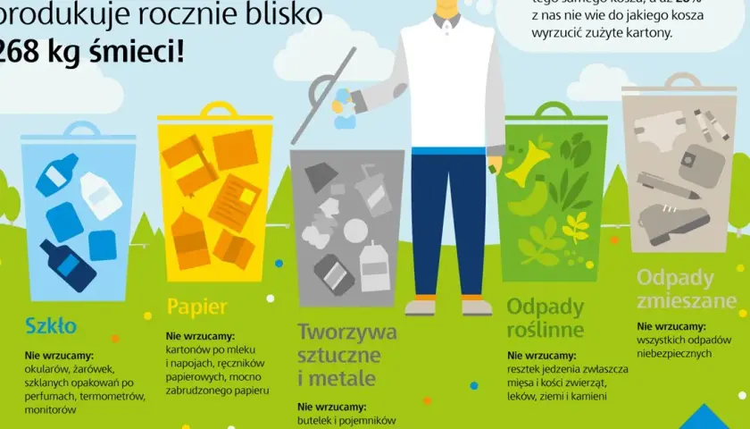 Gdzie wyrzucić karton? Kompletny poradnik segregacji odpadów