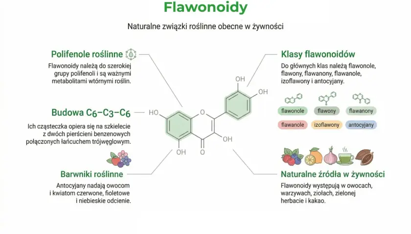 Bioflawonoidy co to? To naturalne związki roślinne, występujące w owocach, warzywach, ziołach, herbacie i kakao.