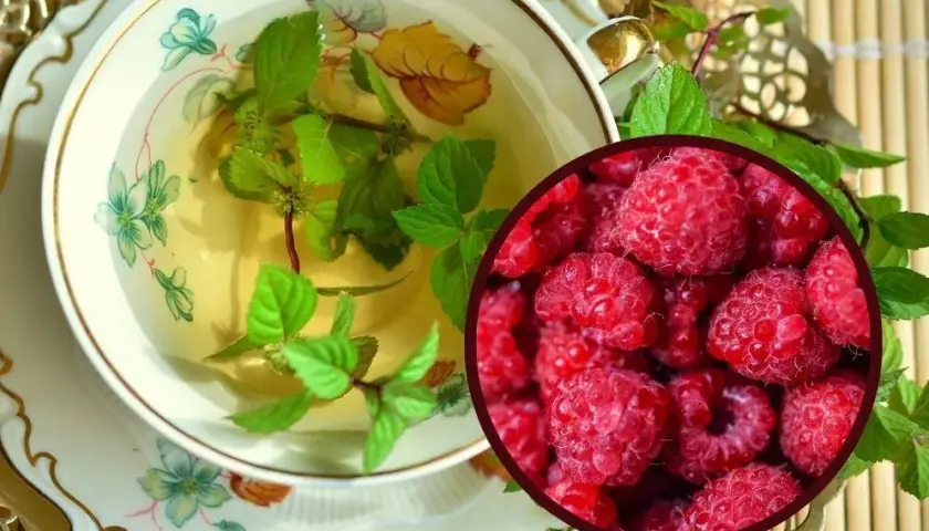 Herbata malinowa na co pomaga - odkryj jej niezwykłe właściwości zdrowotne