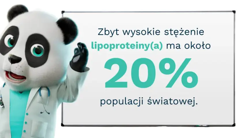 Doktor Panda wyjaśnia: wysokie stężenie lipoproteiny(a) dotyczy 20% populacji. Badanie to jest kluczowe dla zdrowia.