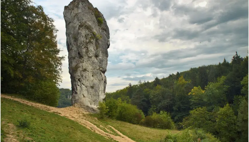 Ojcowski Park Narodowy: wysoka, skalna Maczuga Herkulesa góruje nad zielonym zboczem i lasem.