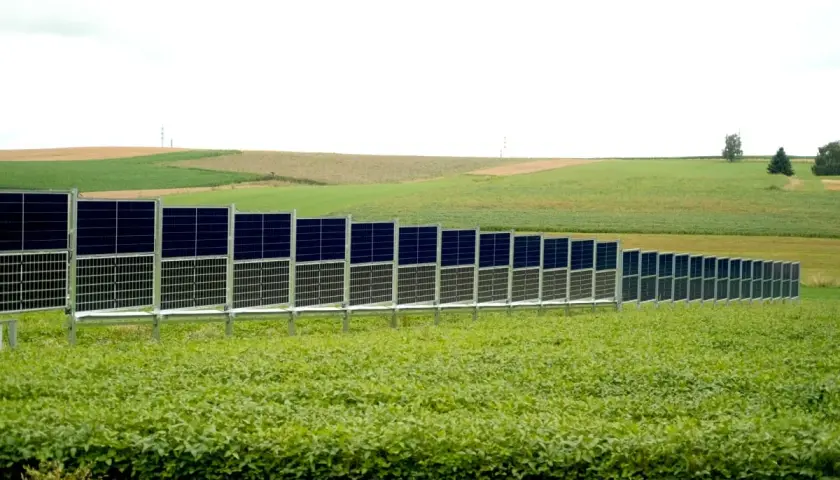 Reihe von Agri-PV-Modulen auf einer grünen Weide, die sich über sanfte Hügel erstreckt.