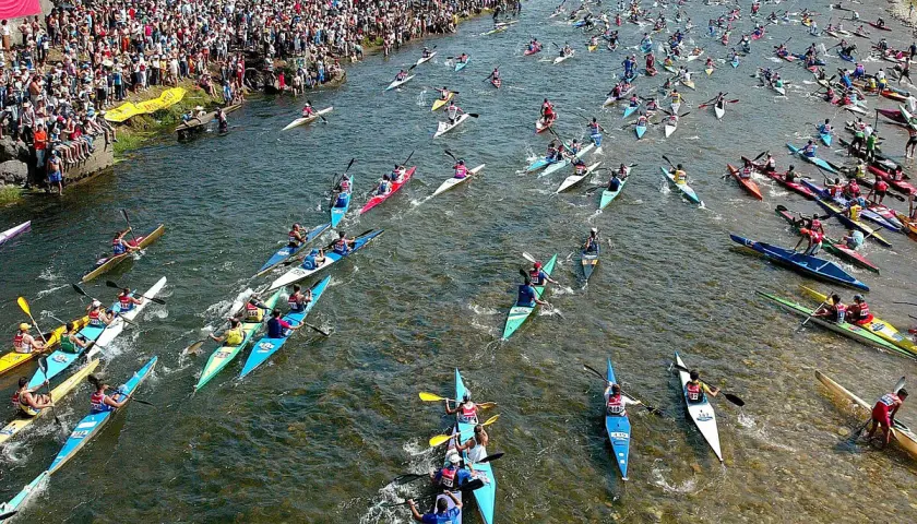 Multitudinaria fiesta de las piraguas en un río lleno de deportistas compitiendo en sus canoas.
