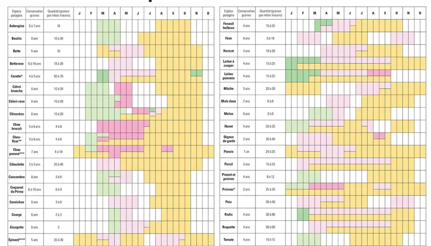 Calendrier des semis de céréales et légumes : Semis sous abri, en place, en pépinière et récolte pour de nombreuses espèces potagères.