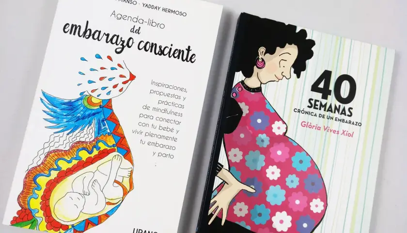 Dos libros sobre el embarazo: "Agenda-libro del embarazo consciente" y "40 semanas, crónica de un embarazo". Son como cuentos para adolescentes que esperan un bebé.