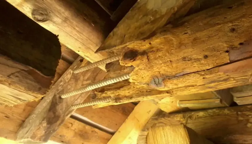 Poutre en bois vermoulue, soutenue par des tiges filetées. Le prix pour changer une poutre pourrie est une préoccupation majeure pour la rénovation.