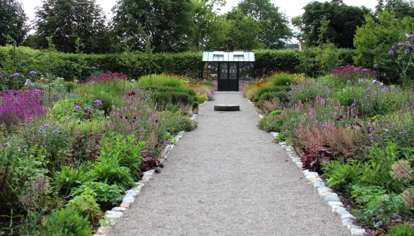 En grusgång leder till ett växthus, kantad av frodiga rabatter med många vanliga perenner i lila och rosa nyanser.