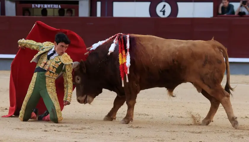 Isaac Fonseca, torero, se arrodilla ante un toro bravo en la arena.
