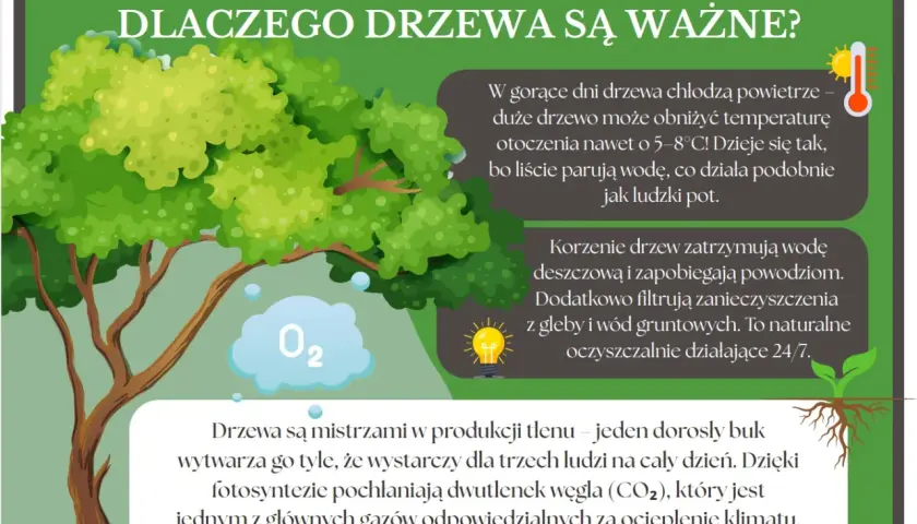 Drzewo ekologiczne, symbol życia i czystego powietrza, ochładza otoczenie, filtruje wodę i pochłania CO2.