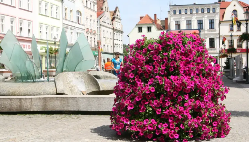 Kwietnik kaskadowy jak zrobić - proste kroki do pięknej aranżacji