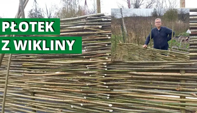 Jak zrobić płot z wikliny: proste kroki i skuteczne porady