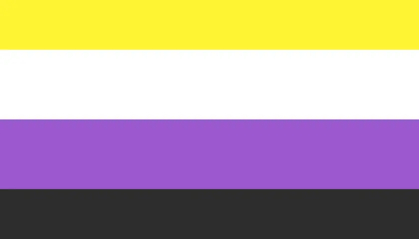 Bandiera non binaria: giallo, bianco, viola e nero. Rappresenta l'identità di genere che non rientra nelle categorie di uomo o donna, un significato di inclusione.