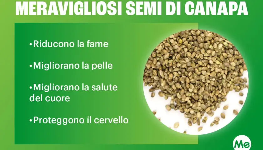 Semi di canapa: scopri i benefici per fame, pelle, cuore e cervello. Le proteine della canapa sono un vero toccasana!