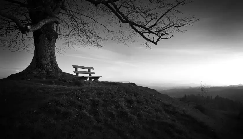Samotna ławka pod rozłożystym drzewem na wzgórzu, zapraszająca do chwili zadumy. Solitude po polsku.