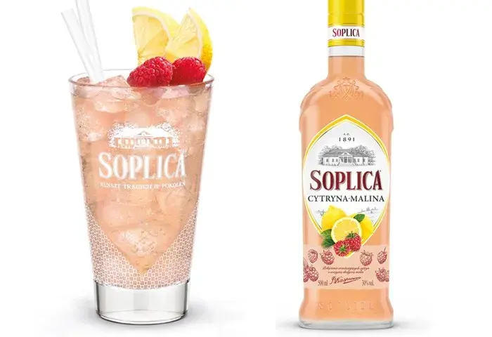 Pyszne drinki z wodą gazowaną i cytryną, które orzeźwiają każdego dnia