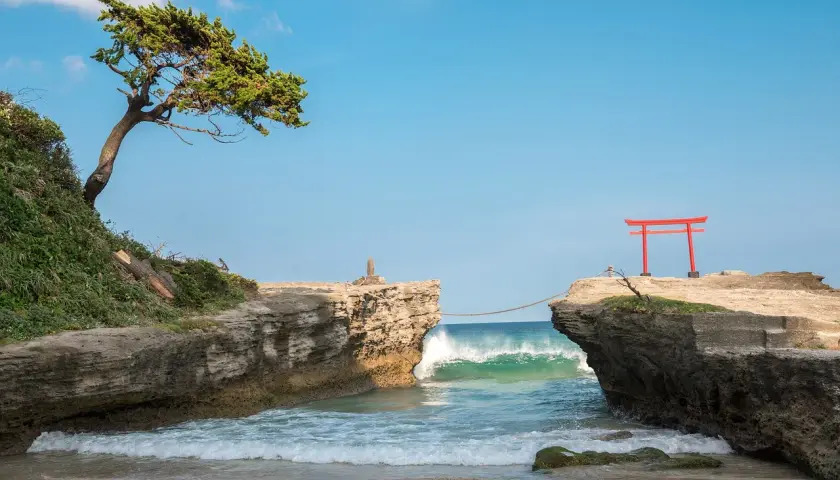 Skaliste wybrzeże nad Morzem Japońskim, z drzewem na klifie i czerwoną bramą torii na skale.