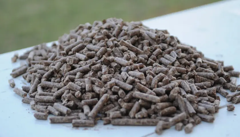 Góra drobnych, brązowych pelletów, idealnych jako dodatek do pelletu, leży na białej powierzchni.