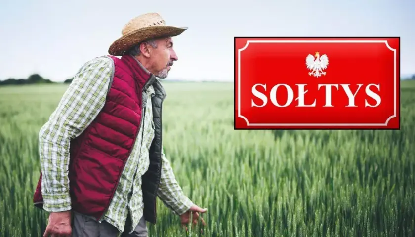 Sołtys w słomkowym kapeluszu i kamizelce przemierza pole zboża, obok tabliczka z godłem Polski i napisem "SOŁTYS".